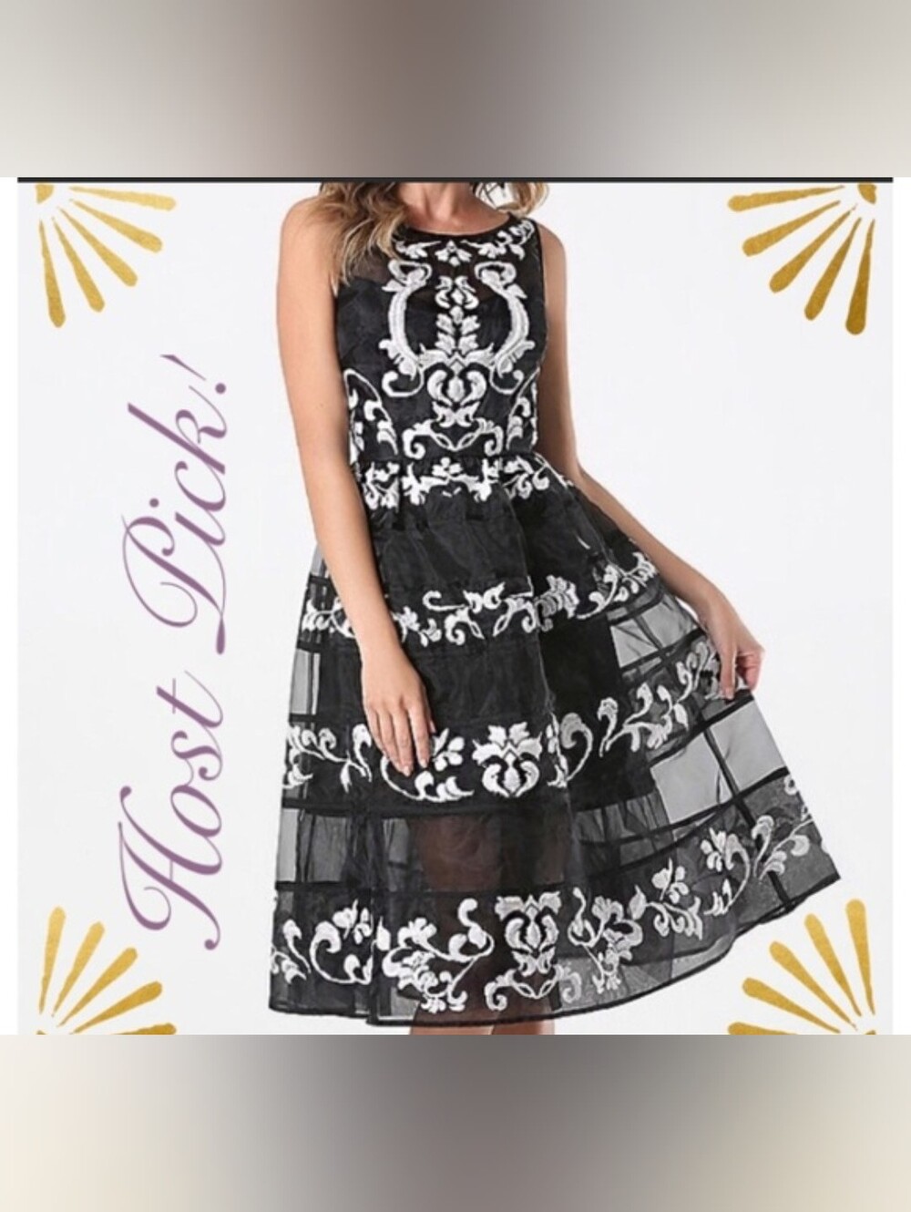 New Bebe Embroidered Organza Dress